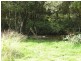 Lot 1,  Morses Creek Road, Wandiligong VIC 3744