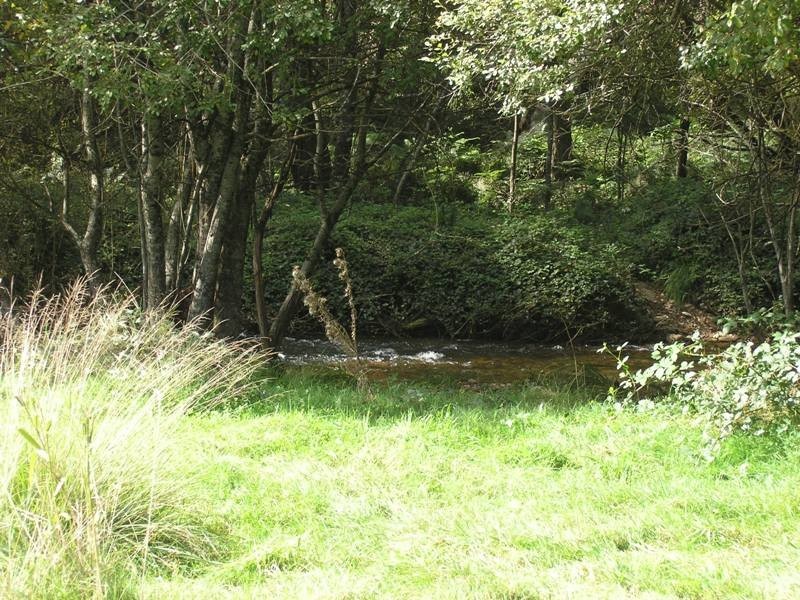 Lot 1,  Morses Creek Road, Wandiligong VIC 3744