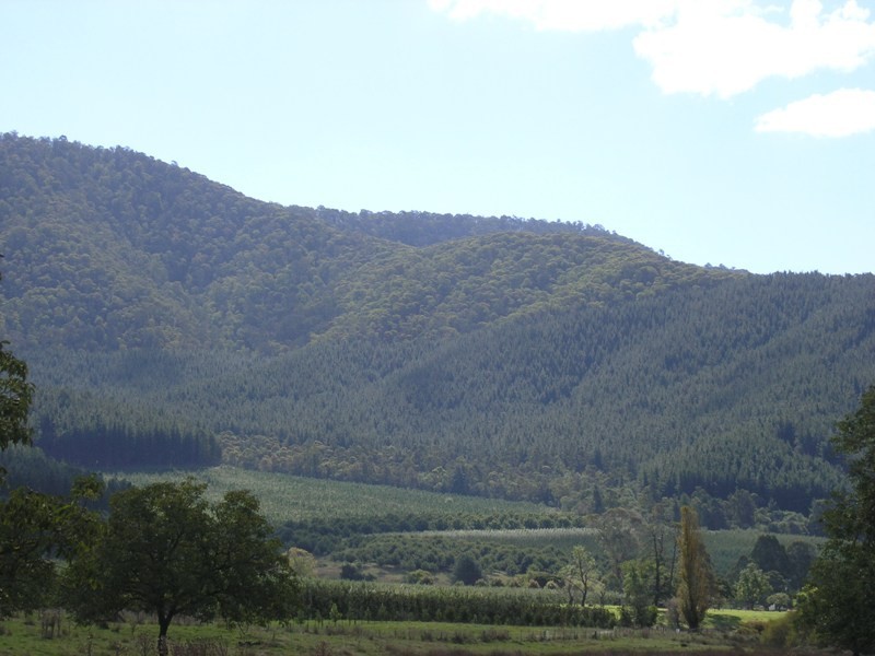 Lot 1,  Morses Creek Road, Wandiligong VIC 3744