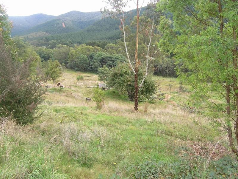 Lot 99 & 100,  Morses Creek Road, Wandiligong VIC 3744