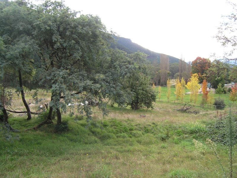 Lot 99 & 100,  Morses Creek Road, Wandiligong VIC 3744