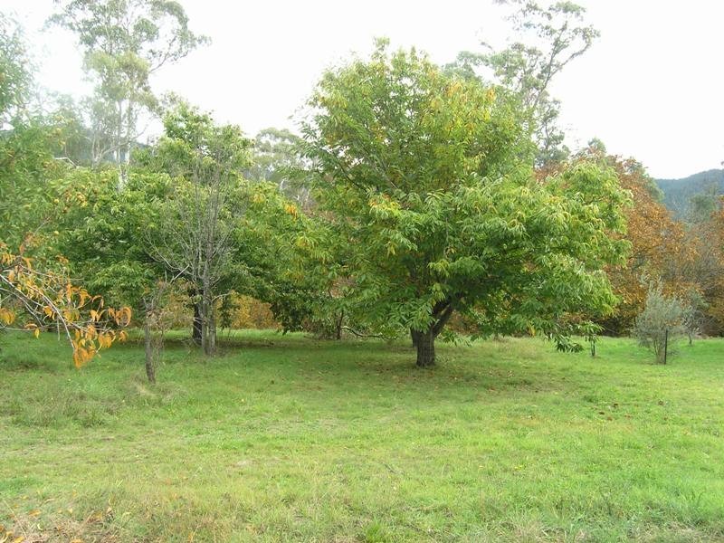 154 Churchill Avenue, Bright VIC 3741