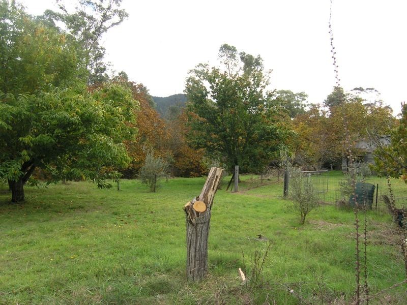 154 Churchill Avenue, Bright VIC 3741