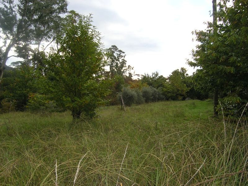 154 Churchill Avenue, Bright VIC 3741