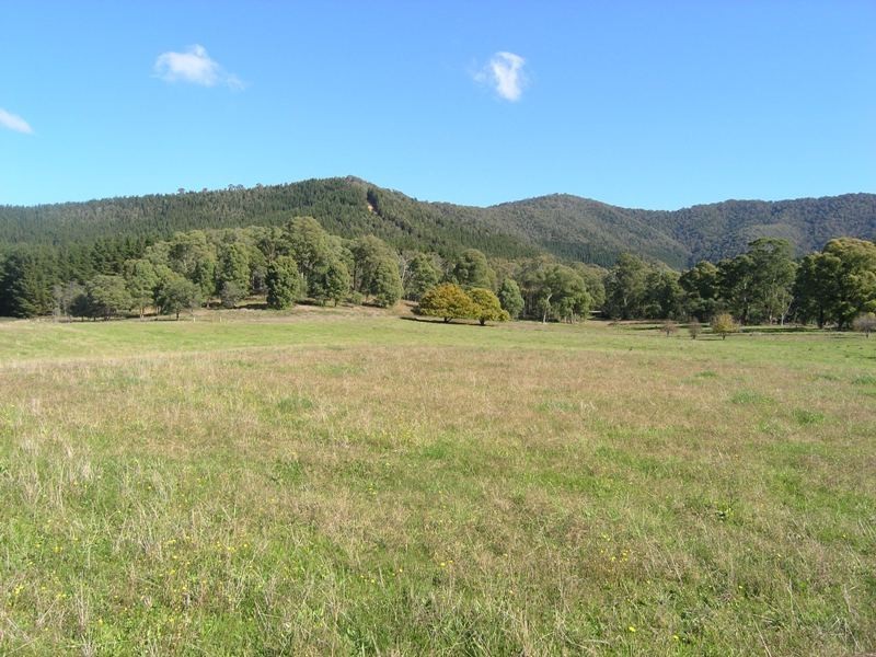 CA S3 Jagoes Gully Road, Wandiligong VIC 3744