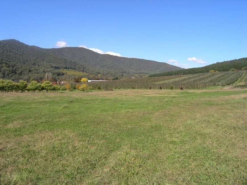 CA S3 Jagoes Gully Road, Wandiligong VIC 3744