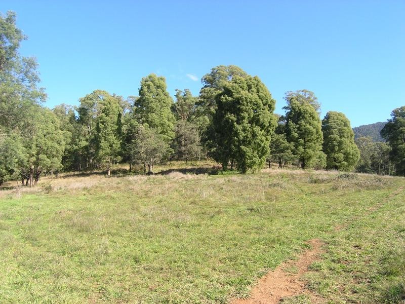 CA S3 Jagoes Gully Road, Wandiligong VIC 3744