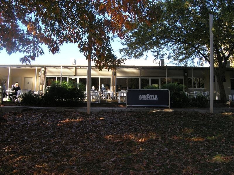 119 Gavan Street, Bright VIC 3741