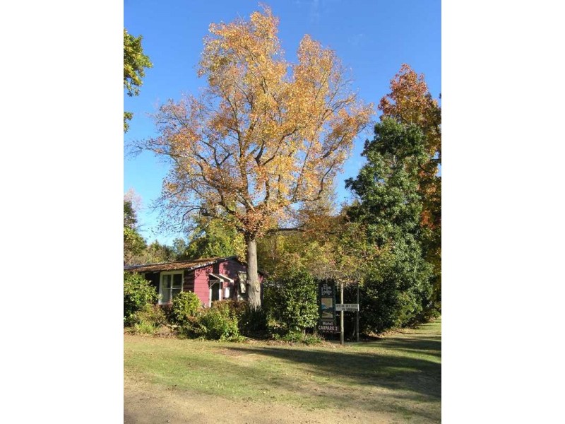 6 Wood Street, Bright VIC 3741