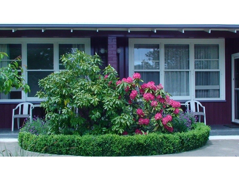 6 Wood Street, Bright VIC 3741