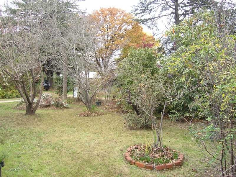 43 Delany Avenue, Bright VIC 3741