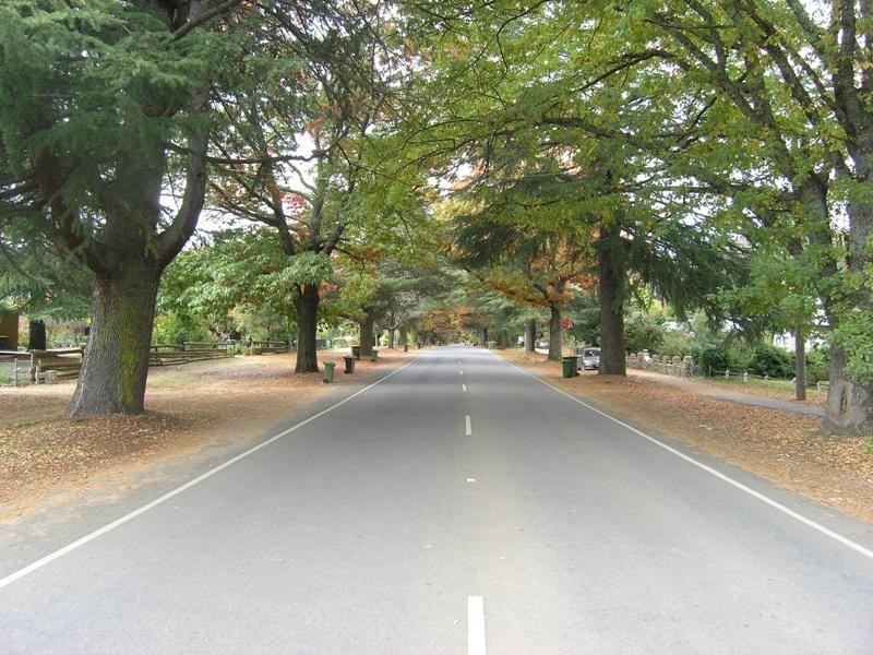 43 Delany Avenue, Bright VIC 3741