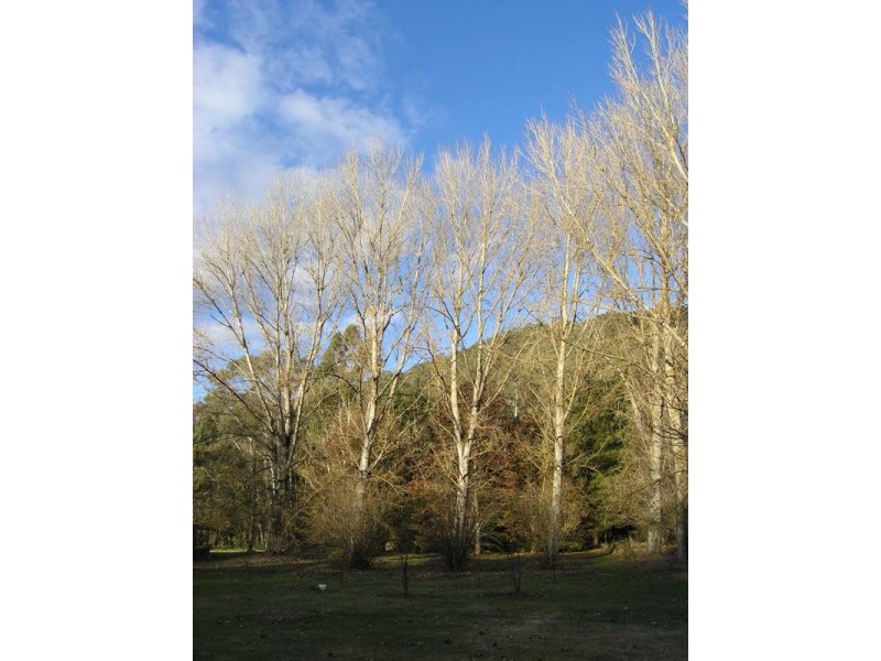 675 Morses Creek Road, Wandiligong VIC 3744