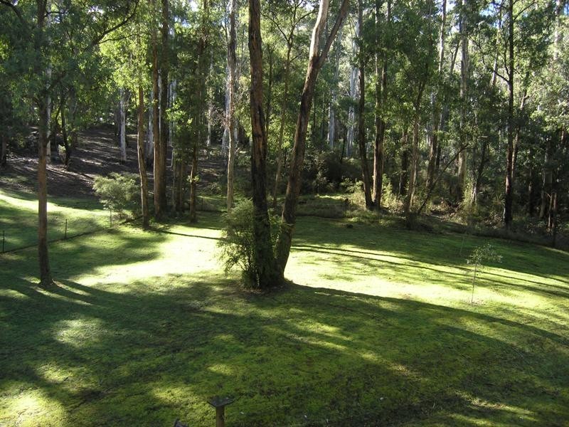 8A Cobungra Court, Harrietville VIC 3741