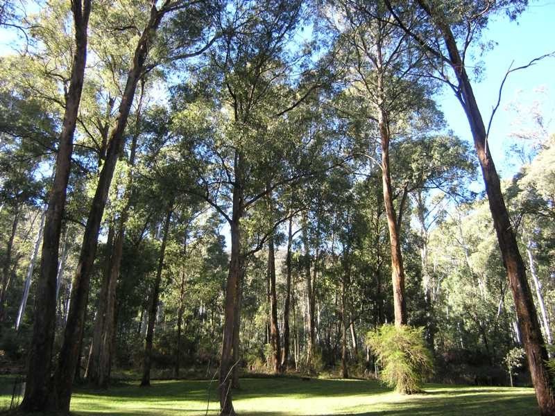 8A Cobungra Court, Harrietville VIC 3741