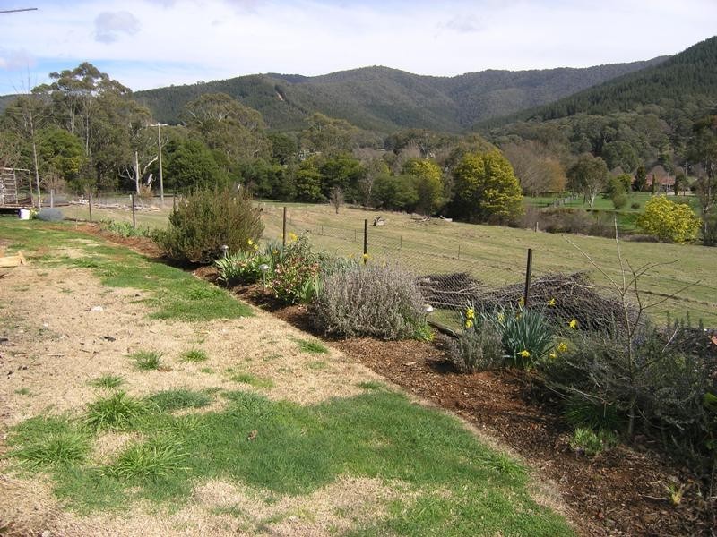 614 Morses Creek Road, Wandiligong VIC 3744