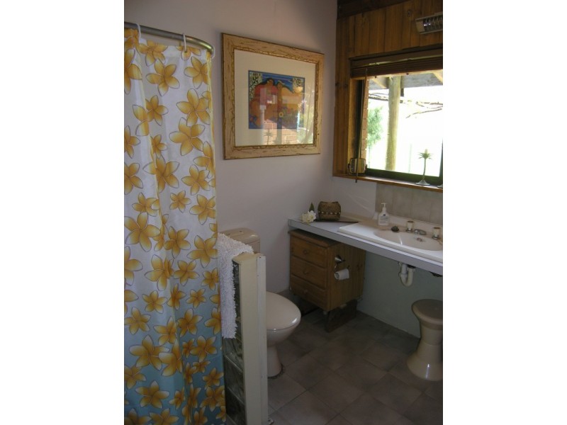 973 Great Alpine Road, Freeburgh VIC 3741