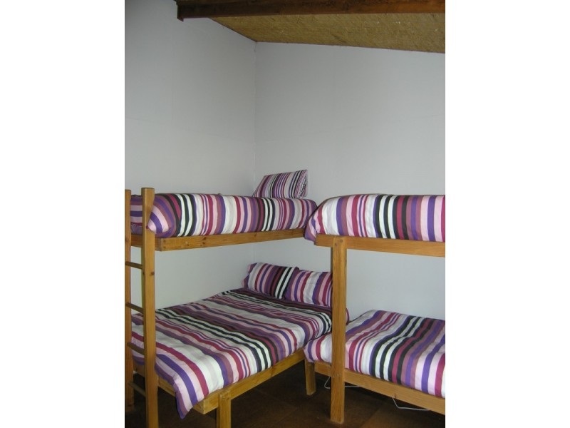 973 Great Alpine Road, Freeburgh VIC 3741