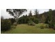 973 Great Alpine Road, Freeburgh VIC 3741