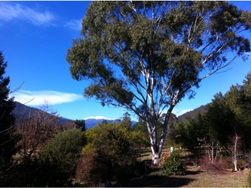 973 Great Alpine Road, Freeburgh VIC 3741