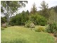 973 Great Alpine Road, Freeburgh VIC 3741