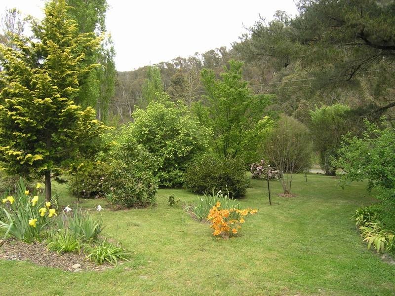 973 Great Alpine Road, Freeburgh VIC 3741