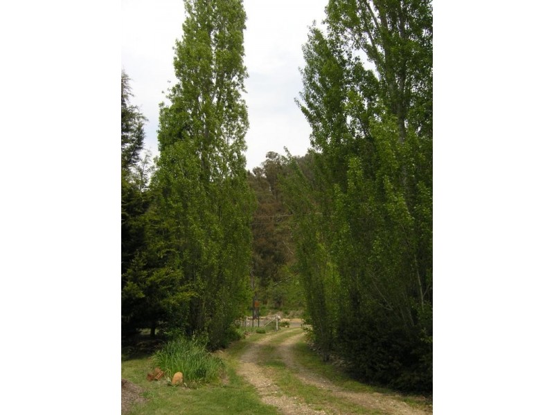 973 Great Alpine Road, Freeburgh VIC 3741