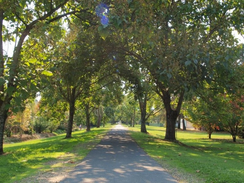 Lot 2,3,4 & 5, 14 Gavan Street, Bright VIC 3741