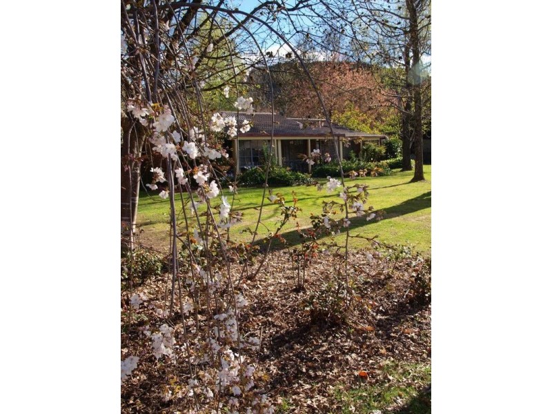 Lot 2,3,4 & 5, 14 Gavan Street, Bright VIC 3741