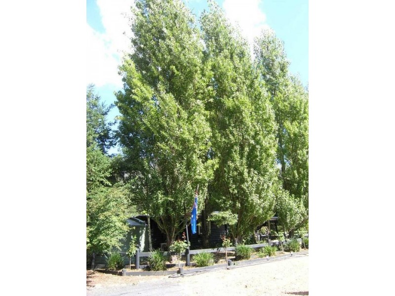 19 Farrington Lane, Freeburgh VIC 3741