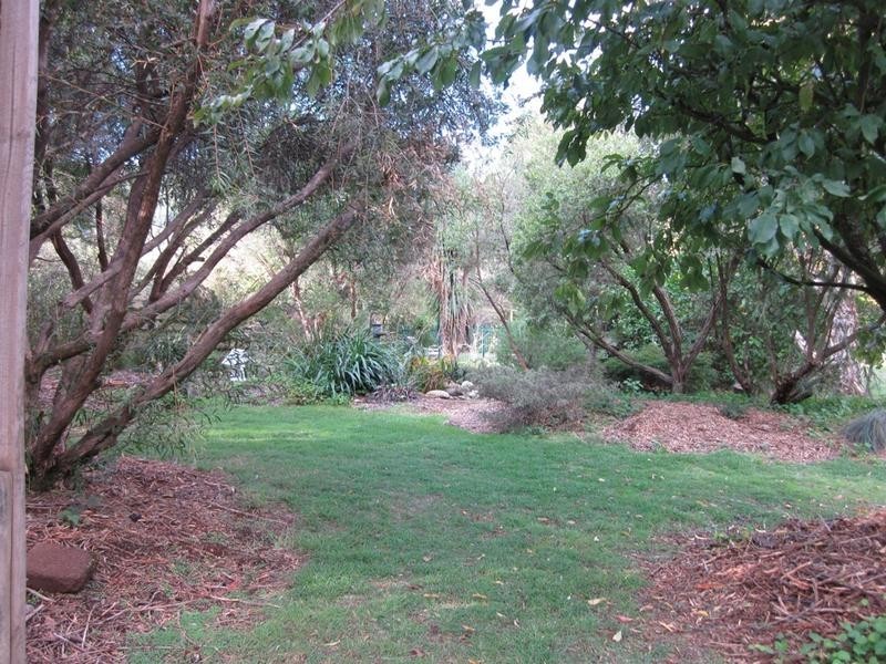 23 Ashwood Ave, Bright VIC 3741