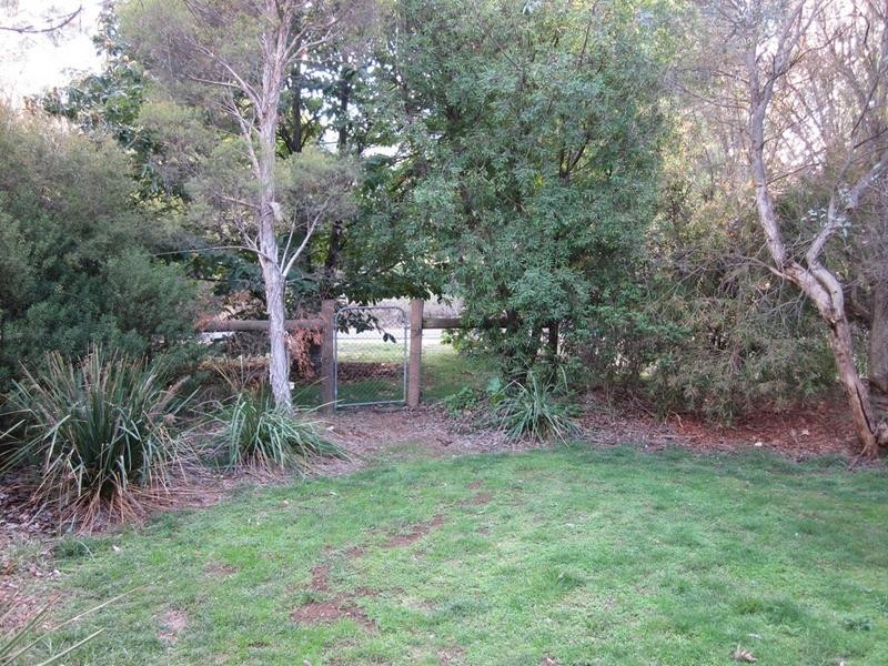 23 Ashwood Ave, Bright VIC 3741