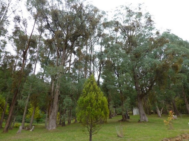 120 Centenary Avenue, Wandiligong VIC 3744