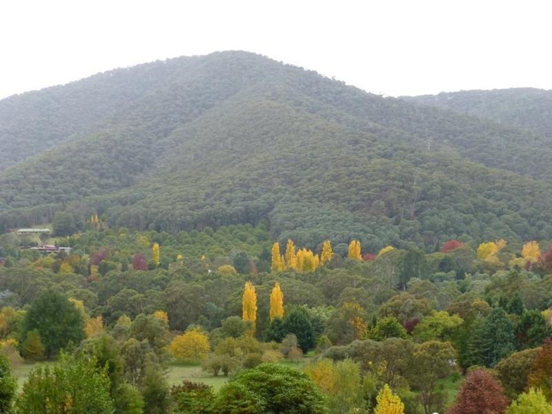 120 Centenary Avenue, Wandiligong VIC 3744