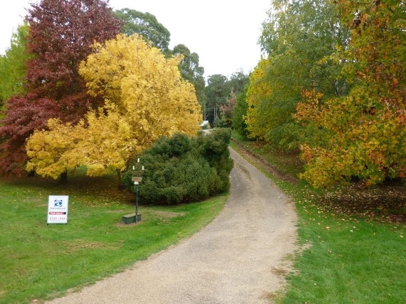 120 Centenary Avenue, Wandiligong VIC 3744