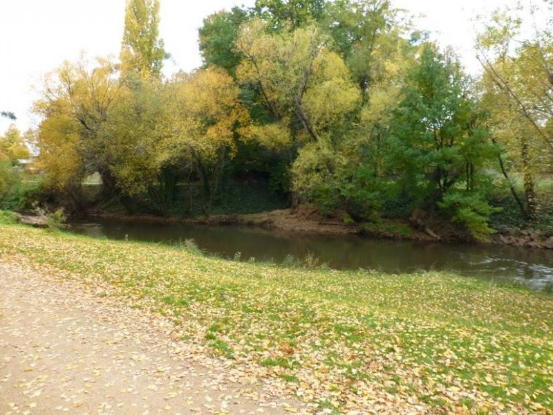 20 Showers Avenue, Bright VIC 3741