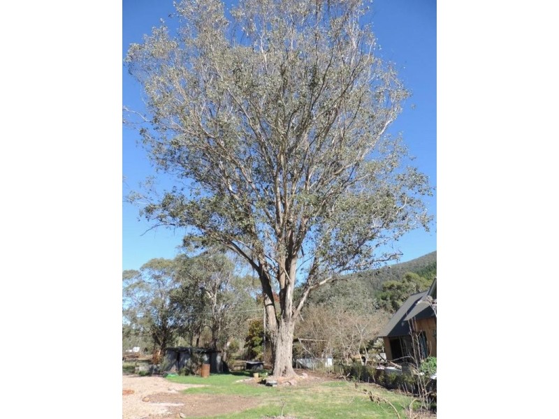 42 Centenary Avenue, Wandiligong VIC 3744