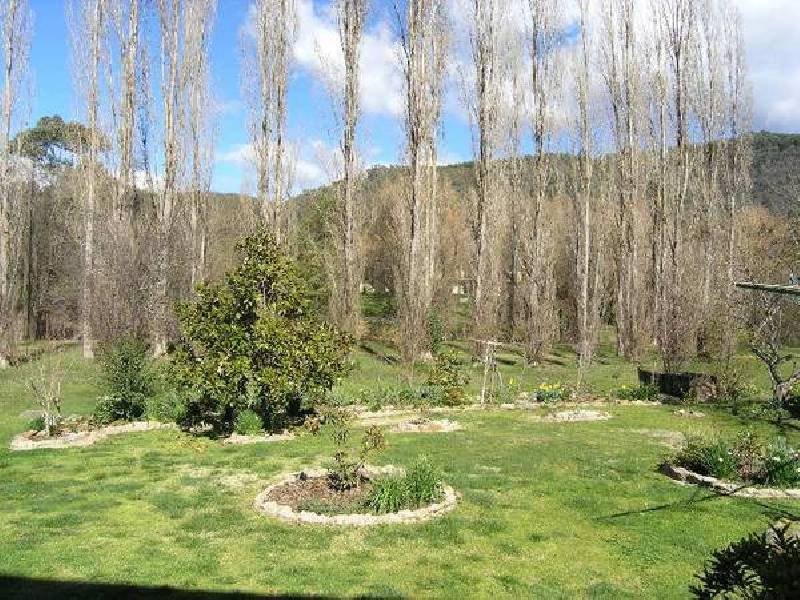 20 Showers Ave, Bright VIC 3741