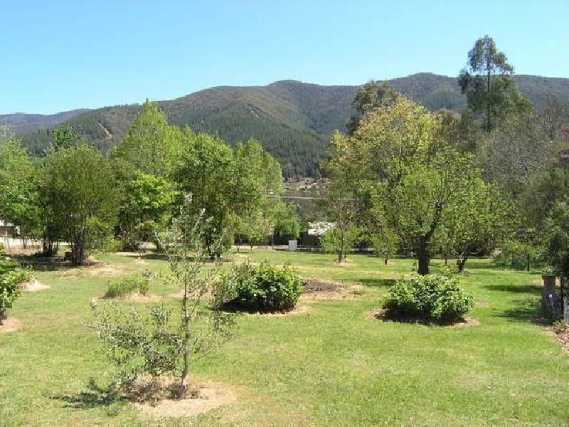 137 School Rd, Wandiligong VIC 3744