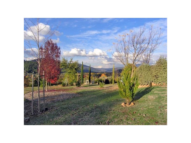 Nazife Crt, Bright VIC 3741