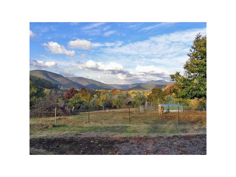 Nazife Crt, Bright VIC 3741