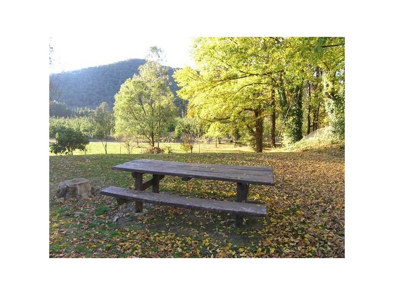 97 Delany Ave, Bright VIC 3741