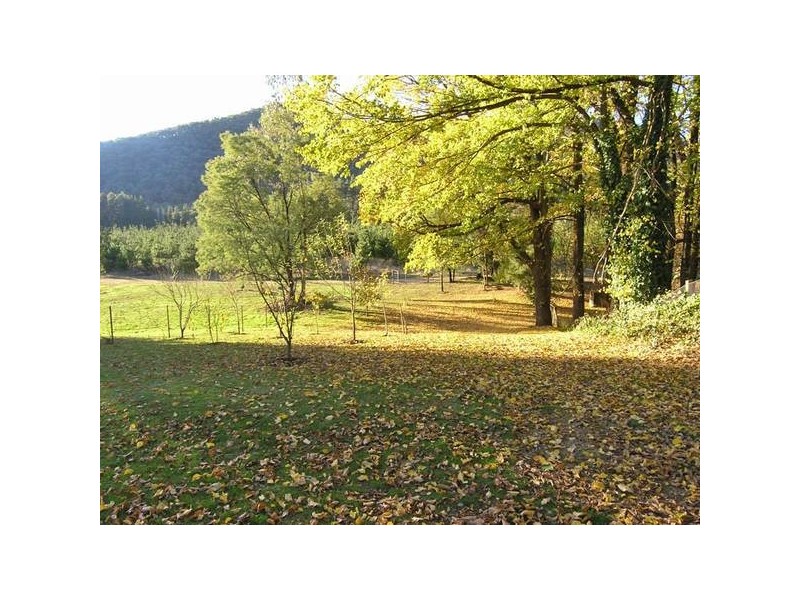 97 Delany Ave, Bright VIC 3741