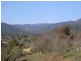 12 Walnut Grove, Bright VIC 3741