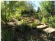 12 Walnut Grove, Bright VIC 3741