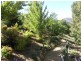 12 Walnut Grove, Bright VIC 3741
