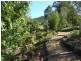 12 Walnut Grove, Bright VIC 3741