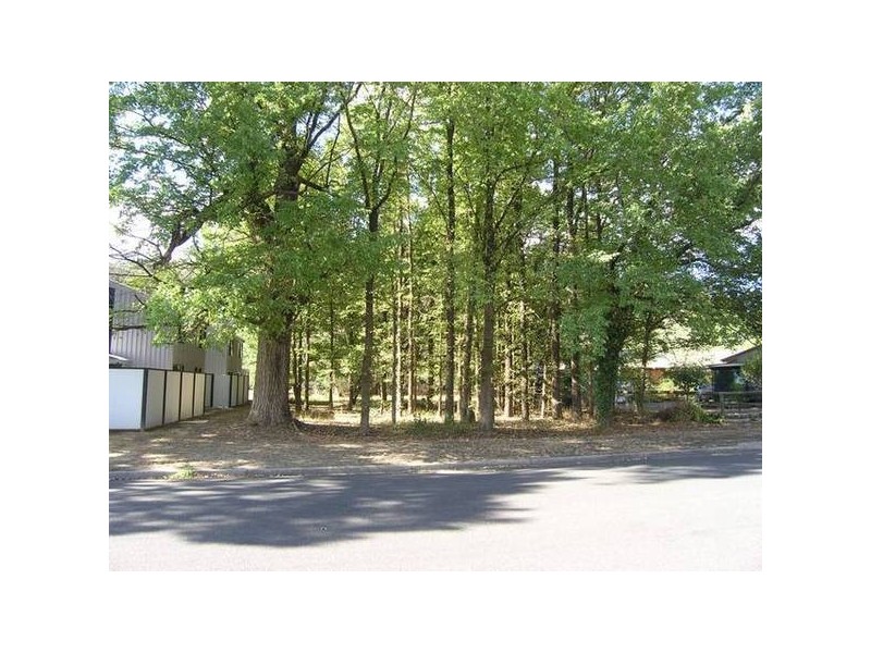 31 Mountbatten Ave, Bright VIC 3741