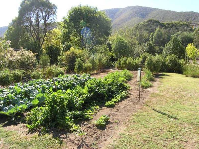 42 Centenary Ave, Wandiligong VIC 3744