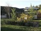 11 Lumley Drive, Bright VIC 3741